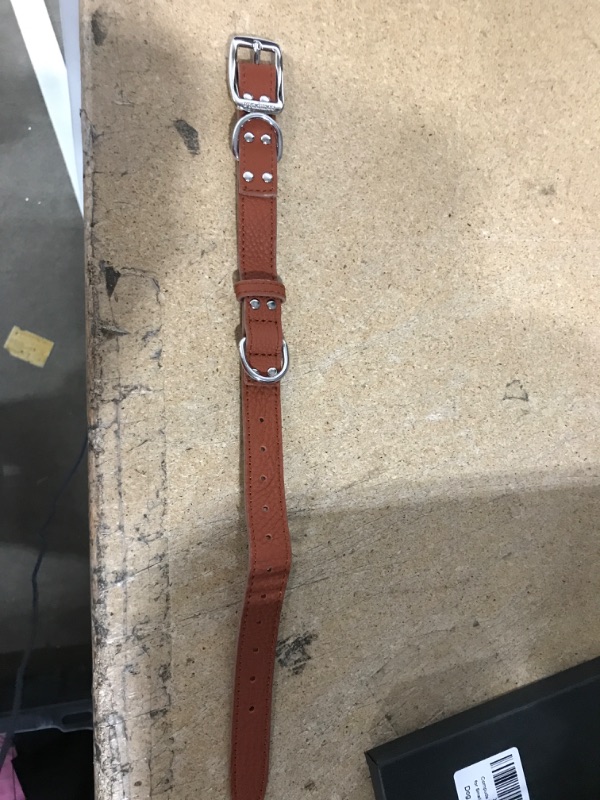 Photo 2 of *COLOR IS BROWN* Compuda Leather Dog Collar for Small Medium Large Dogs, Soft Padded Double Buckle Full Genuine Leather Collar Chocolate M-(12-18")