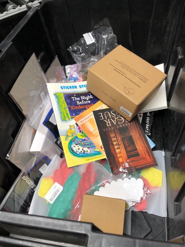Photo 1 of 21 ITEM BUNDLE: BOOKS, HOUSE ACCESSORIES, TOYS, AND MORE