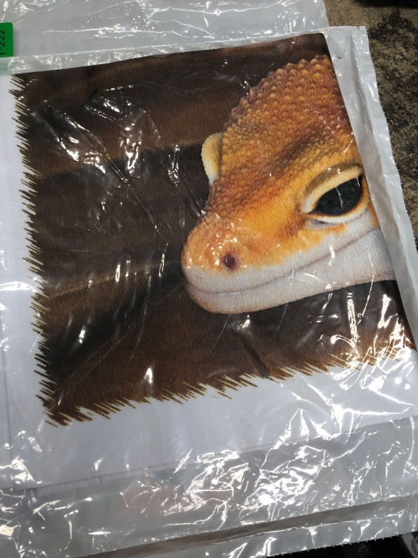 Photo 2 of 3dRose pc_73099_1 Leopard Gecko Morph, Lizard, Pakistan-AS28 AJE0000-Adam Jones-Pillow Case, 16 by 16" 16x16 inch Pillow Case