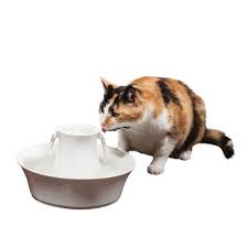 Photo 1 of (USED AND NON FUNCTIONAL) PetSafe Drinkwell Avalon Cat Water Fountain - Ceramic Water Fountain for Pets - Drinking Water Dispenser for Cats and Dogs - Fresh, Flowing 70 oz. Water Capacity - Filters Included
