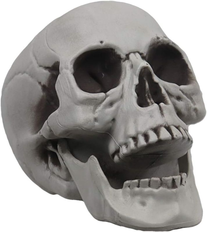 Photo 1 of MOKRY PARTY Life Size Skeleton Skull for Halloween Decor Graveyard Outdoor White