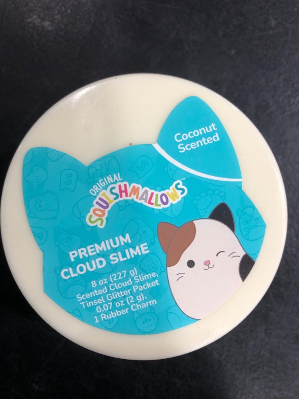 Photo 2 of Original Squishmallows Cam The Cat Premium Coconut Scented Slime, 8 oz. Scented Slime, 2 Fun Slime Add Ins, Fluffy Slime, Pre-Made Slime for Kids, Great 6 Year Old Toys, Super Soft Sludge Toy