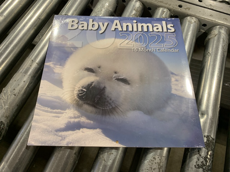 Baby Animals Calendar 2025 