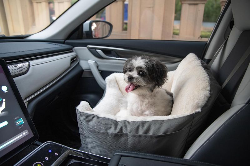 Photo 1 of Best Pet Supplies Dog Pet Booster Seat for Car, Truck, and SUV Travel with Soft Plush Cushion with Tall Pillow and Walls, Comfortable Bedding with Secure Straps - Gray