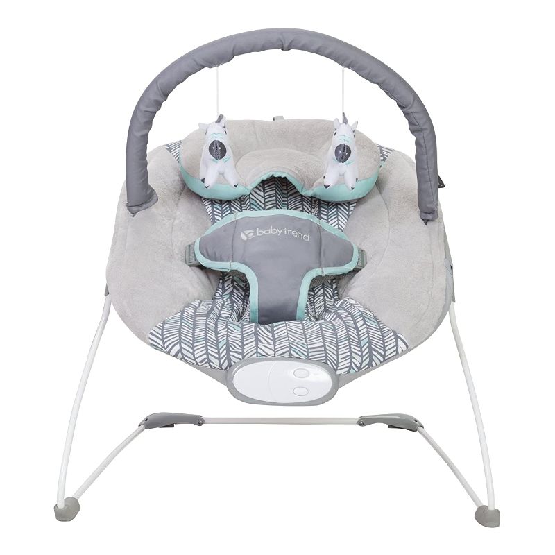Photo 1 of 
Baby Trend EZ Bouncer Grey 24.33x18.11x22.05 Inch (Pack of 1)