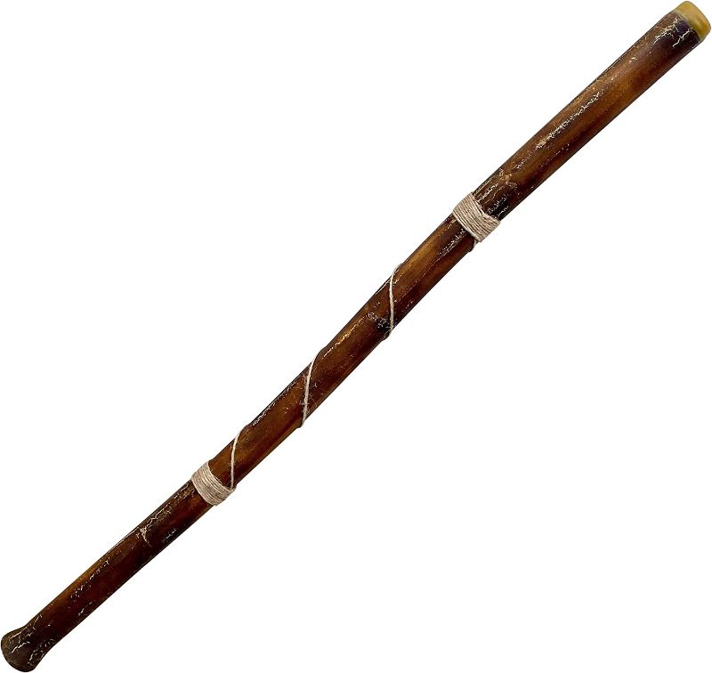 Photo 1 of Hand-fired Modern Didgeridoo - Beeswax Mouthpiece - Easy Player! - Key of D - by World Percussion USA
