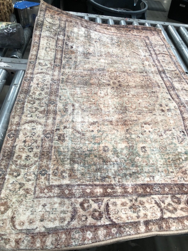 Photo 1 of Spring Valley Home Robbie ROB-01 Area Rug2'3 x 3'9