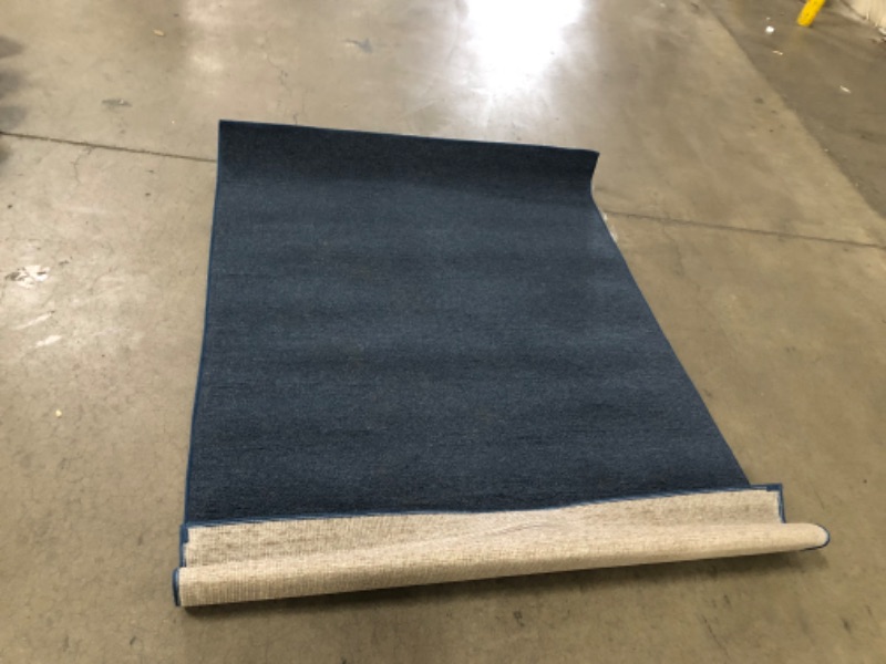 Photo 2 of 4 x 6 Blue Rug