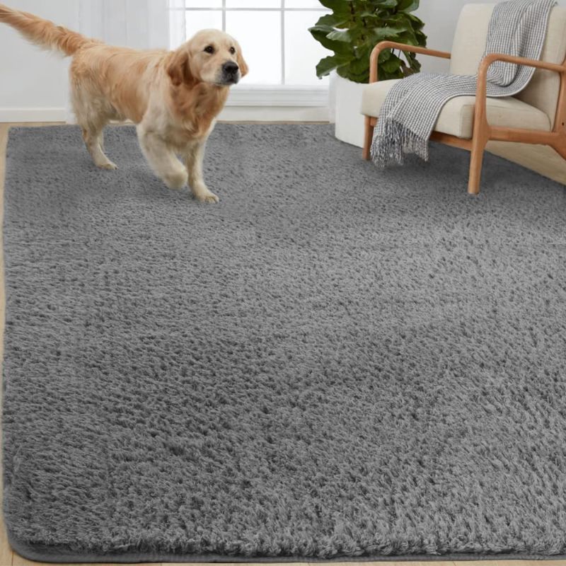 Photo 1 of  Bedroom Rugs, Easy Clean, for Living Room Floor, Nursery Carpets, 4x6 FT, Gray