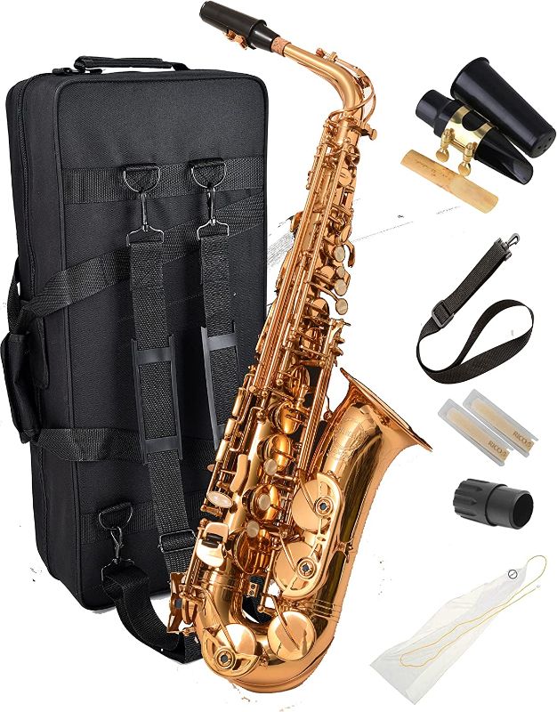 Photo 1 of NEW! Herche Superior Alto Saxophone X3 | Professional Instruments for All Levels | High F# Key | Educator Approved & Service Plan