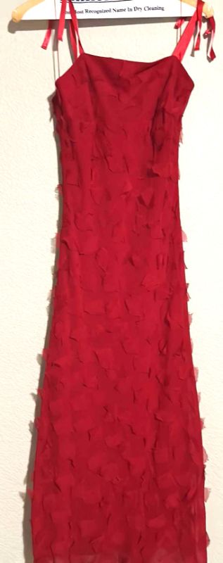 Photo 1 of ANNE KLEIN RED FORMAL LONG DRESS SIZE 4