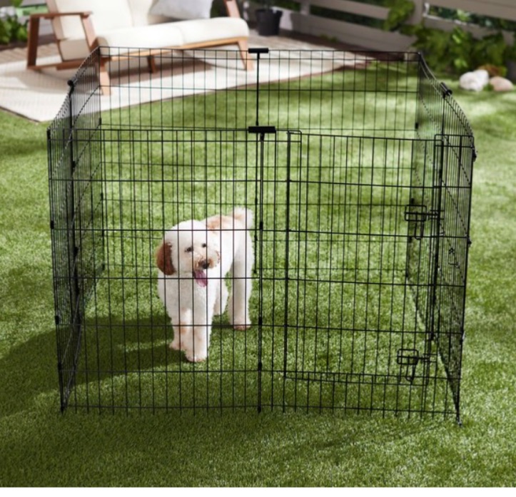 Photo 1 of FRISCO BUT CHEWY ULTIMATE LIGHTWEIGHT STEEL PLAYPEN 36”