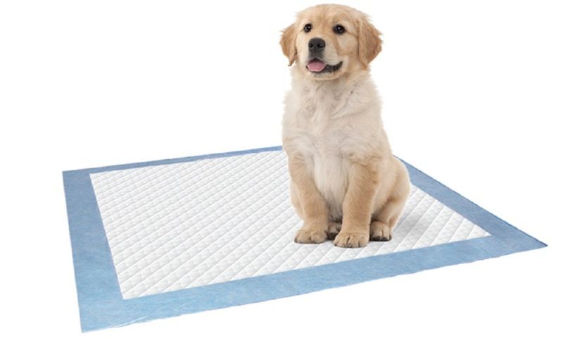 Photo 1 of NEW BARK THE ESSENTIAL TRAINING PADS 70 COUNT