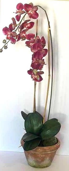 Photo 1 of HOME DECOR- FAUX ORCHID H35”