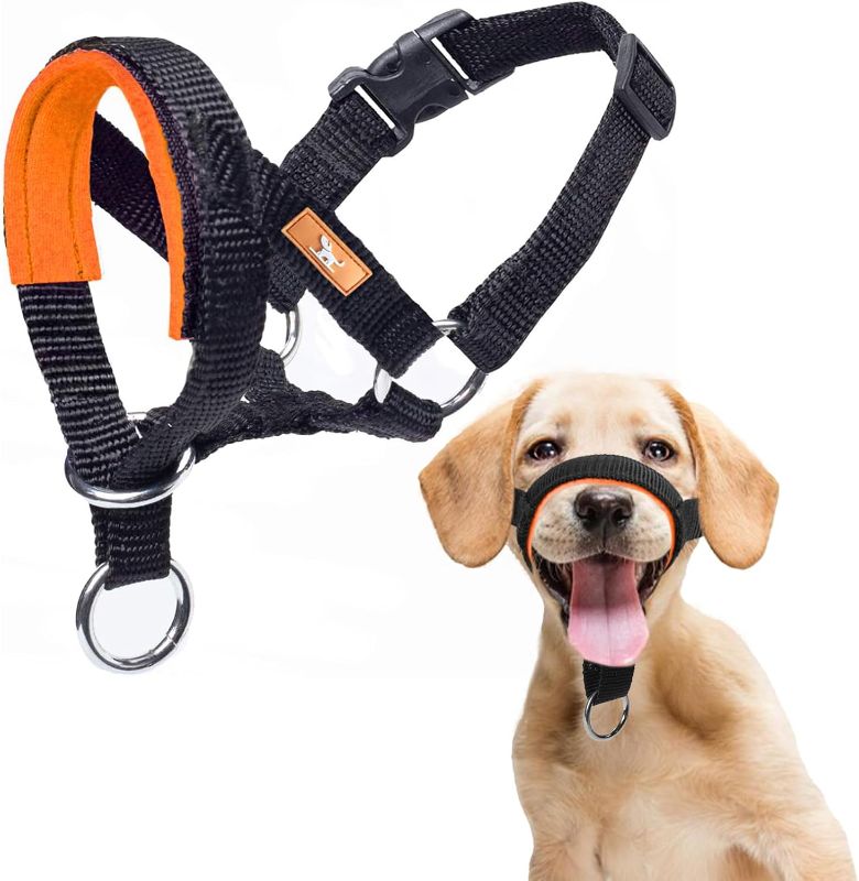 Photo 1 of Dog Head Collar with Soft Fabric, Head Harness Stops Dog Pulling, Head Leash for Small Medium Large Dogs Walking (M,Orange)