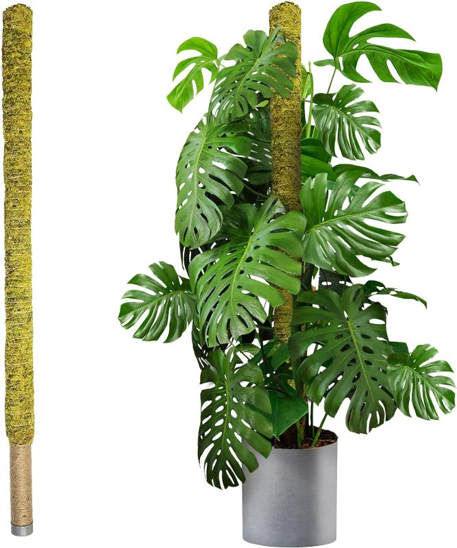 Photo 1 of DUSPRO 59 Inches Non-Bendable Pole for Big Plants, Large Moss Pole for Plants Monstera, Plant Stakes for Indoor Plants, Monstera Plant Support, Plant Pole for Big Climbing Plants Indoor (1pc., 59'')
