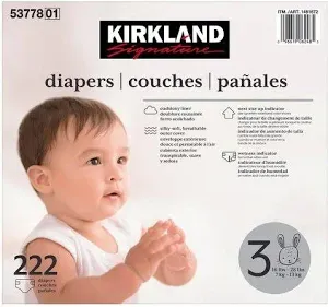 Photo 1 of Kirkland Signature Diapers Size 3
