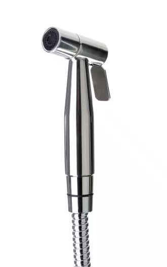 Photo 1 of Brondell CleanSpa Handheld Bidet in Stainless Steel