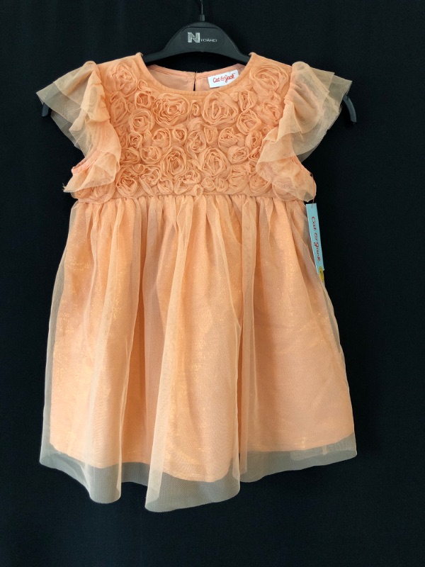 Photo 2 of 4T Toddler Girls' Tulle Dress - Cat & Jack Peach 