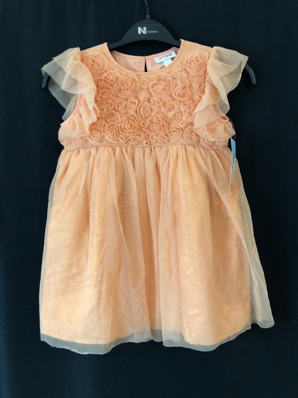 Photo 2 of 5T Toddler Girls' Tulle Dress - Cat & Jack Peach 
