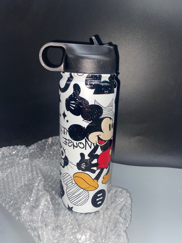 Photo 1 of MICKEY MOUSE Sports Water Bottle 18 Oz Lid with Straw Leak Proof,Food Panda Bird Cat,Double Walled and Vacuum Leak Proof Locking Lid Reusable 