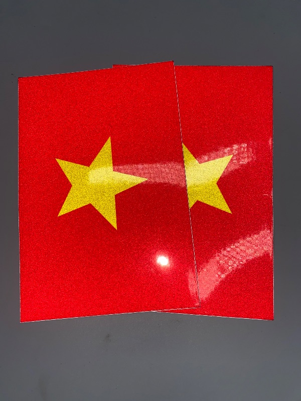 Photo 1 of Vietnam Flag CAR MAGNETS  (2 Pack) by DCM Solutions (4" W x 2.67" H)