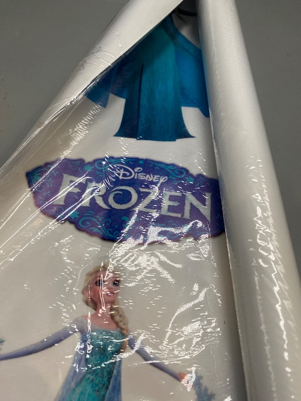 Photo 1 of RoomMates RMK4075SCS Frozen 2 Peel and Stick Wall Decals
