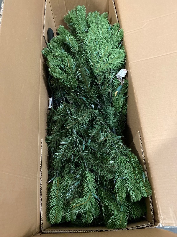Photo 1 of National Tree Company Pre-Lit 'Feel Real' Artificial Full Downswept Christmas Tree, Green, Douglas Fir, White Lights, Includes Stand, 6.5 feet