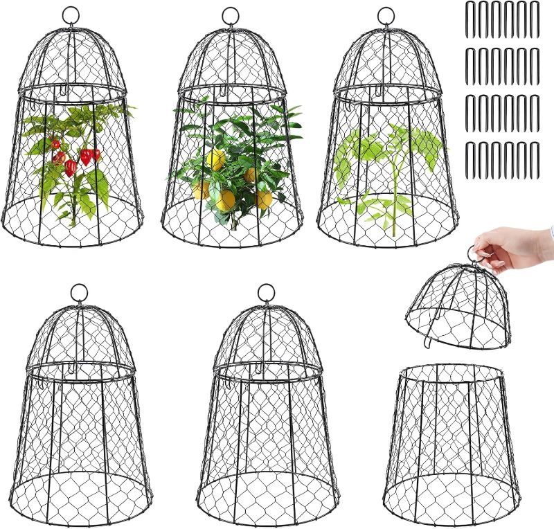 Photo 1 of 6 Pack Garden Cloches for Plants, Sturdy Plant Protectors from Animals, Chicken Wire Cage for Plants Garden Cages to Keep Bunnies Chicken Squirrels Birds Animals Out
