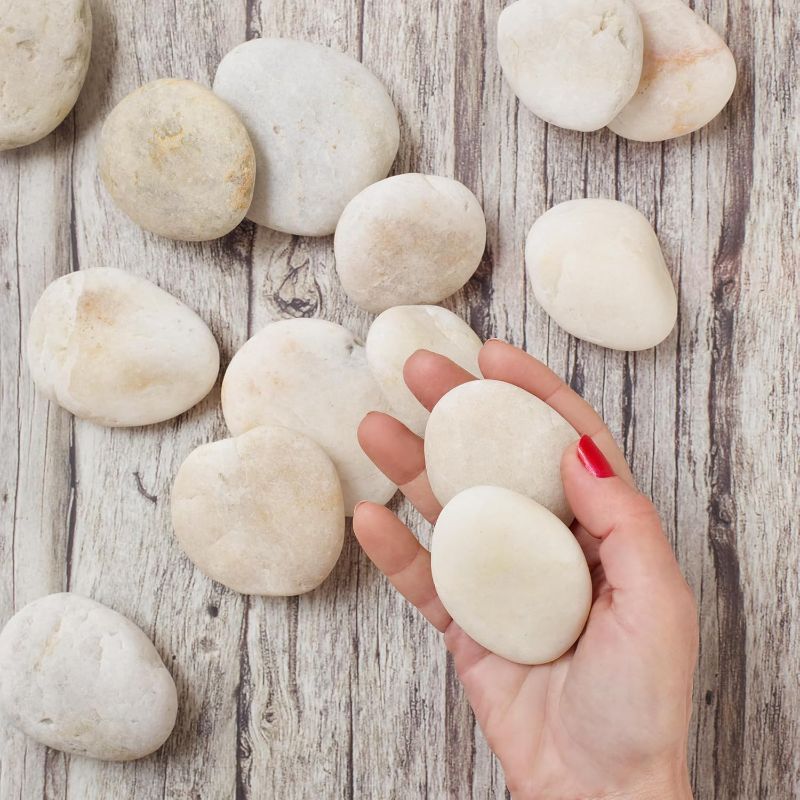 Photo 1 of Royal Imports 5LB Decorative Stones River Pebbles Rocks for Rock Painting, Plant Gravel, Landscaping, Home Decor Natural - Large White
