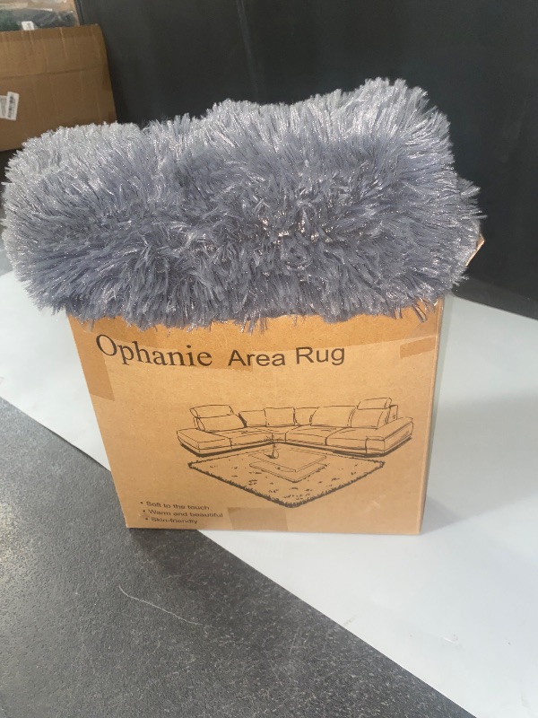 Photo 1 of Ophanie Small Throw Rugs for Bedroom, 2x3 Non Slip Mini Area Rug, Affordable Fluffy Grey Carpet, Door Entryway Indoor Inside Front Entrance Dog Mat, Home Decor Aesthetic, Nursery