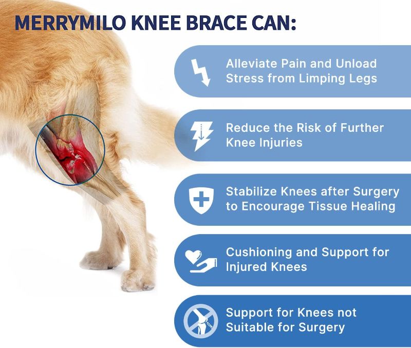 Photo 2 of MerryMilo Dog Knee Brace for Hind and Rear Leg, Support for Dog ACL CCL Cruciate Ligament Injury Joint Pain and Muscle Sore, Size L