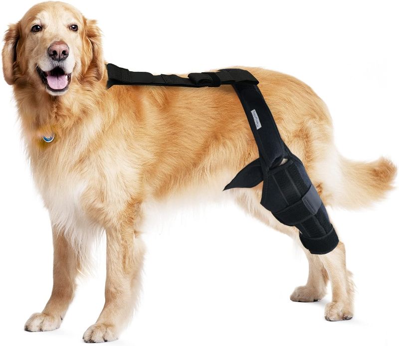 Photo 1 of MerryMilo Dog Knee Brace for Hind and Rear Leg, Support for Dog ACL CCL Cruciate Ligament Injury Joint Pain and Muscle Sore, Size L