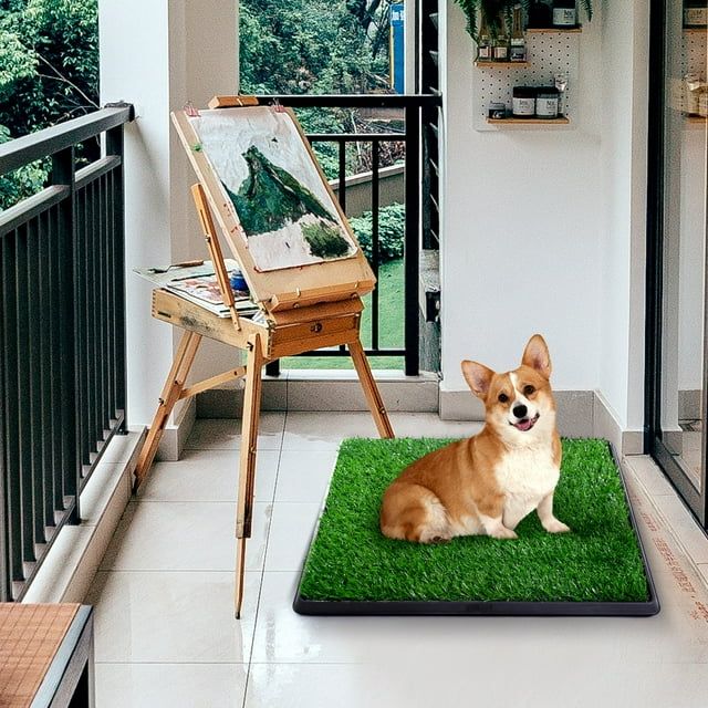 Photo 2 of Dog Grass Pad with Tray Small Dog Litter Box Indoor Loo Artificial Grass Porch Portable Potty Tray for Dogs Reusable Washable Pee Pad and Artificial Grass for Replacement for Puppy Training (20”×16”)
