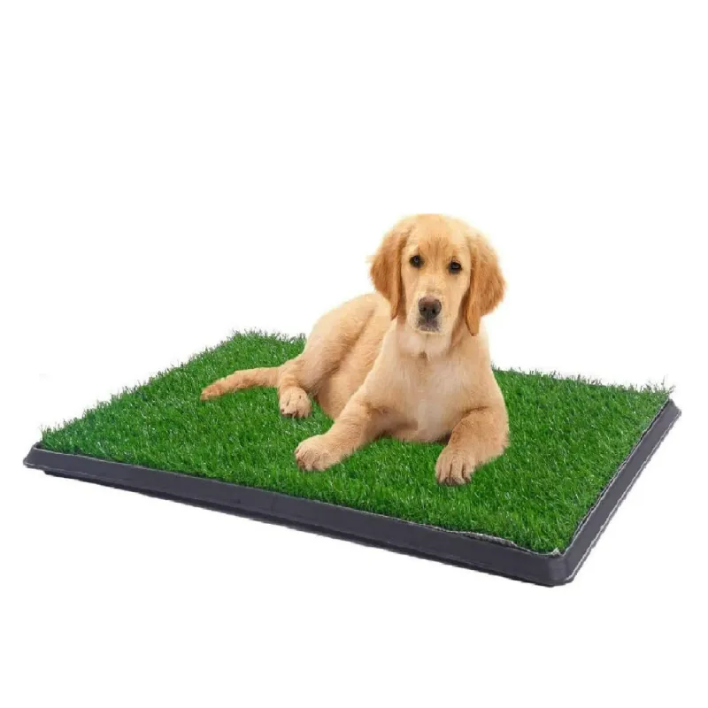 Photo 1 of Dog Grass Pad with Tray Small Dog Litter Box Indoor Loo Artificial Grass Porch Portable Potty Tray for Dogs Reusable Washable Pee Pad and Artificial Grass for Replacement for Puppy Training (20”×16”)
