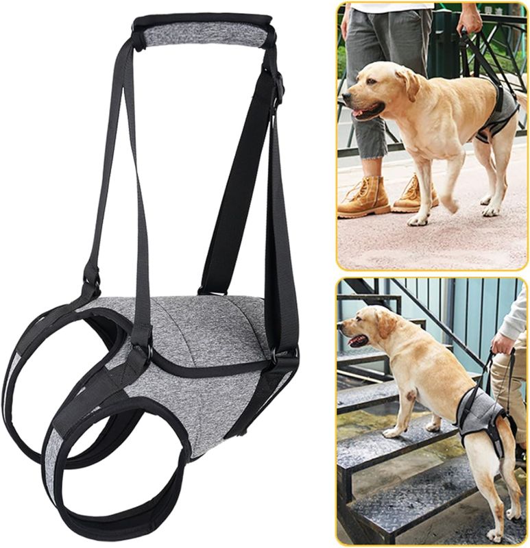 Photo 2 of Dog Sling for Back Legs Support Adjustable Dog Lift Harness Back Padded Support Strap for Puppy Injuries Joint Recovery Dog Sling for Back Legs Dog Accessories- Size XL