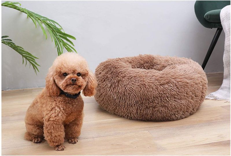 Photo 2 of BODISEINT Modern Soft Plush Round Pet Bed for Cats or Small Dogs, Mini Medium Sized Dog Cat Bed Self Warming Autumn Winter Indoor Snooze Sleeping Cozy Kitty Teddy Kennel (20'' D x 8'' H, Coffee)