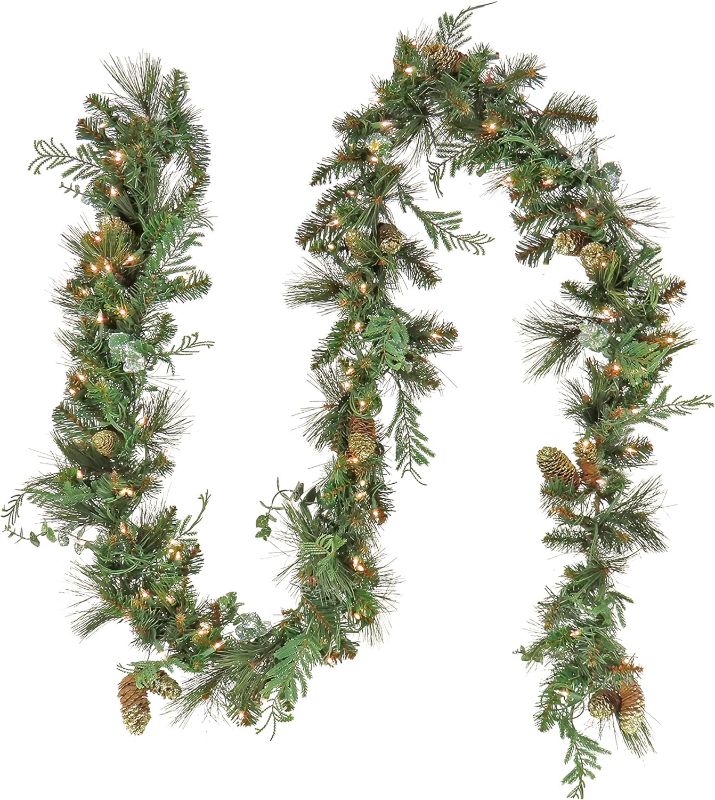 Photo 1 of National Tree Company First Traditions Pre-Lit Christmas North Conway Garland with Pinecones, Warm White LED Lights, Battery Operated, 9 ft