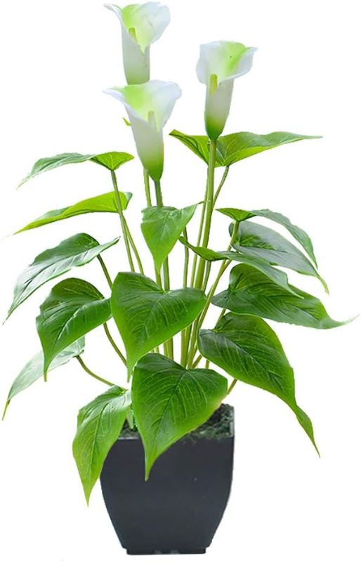 Photo 1 of Artificial Flower Calla Lily Faux Small Potted Plant with Black Pot Fake Bonsai Flower for Home, Office, Indoor and Outdoor Occasions Decor (White Fake Flower)
