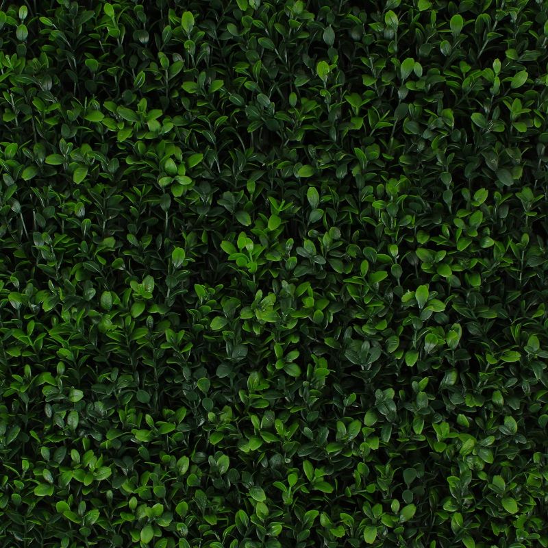 Photo 1 of 3rd Street Inn Greenery Panel - Artificial Hedge Wall - Fake Plant Wall Backdrop - Privacy Screen - Interlocking Panels - Indoor Outdoor Décor (4, Soft Touch Holly)