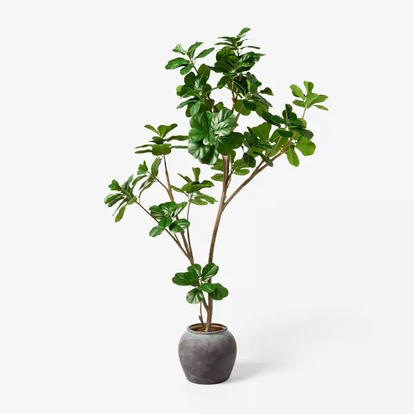 Photo 1 of 6 ft Artificial Leaf Fig Tree Dark Green - Threshold designed with Studio McGee