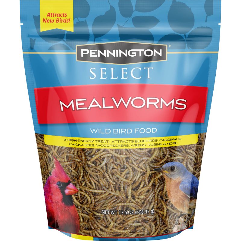 Photo 1 of Pennington Select Mealworms Bluebird and Wild Bird Food 17.6 Oz. Bag 1 Pack Dry