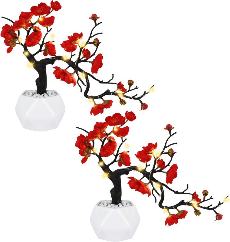 Photo 1 of Dolicer 2 Pack Plum Blossom with Lights Artificial Flowers Artificial Silk Plum Blossoms with Ceramic Vase Double Branches Simulation Flower Plum Blossom Potted Arrangement for Home Party Decor, Red
