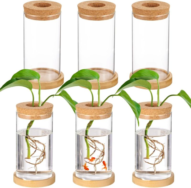 Photo 1 of 6 Pcs Plant Terrariums, Desktop Glass Planters with Corks & Bamboo Saucers, Plant Propagation Vases, Tabletop Water Planting Containers, Glass Planter Stations for Home Office Decor