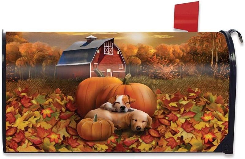 Photo 1 of Fall Mailbox Cover