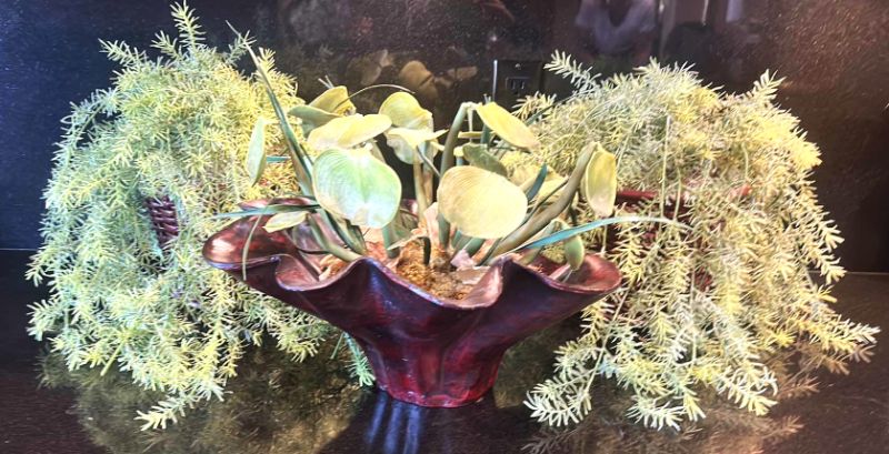 Photo 1 of 3 REALISTIC FAUX PLANTS (SCALLOPED ONE 19” x 13”