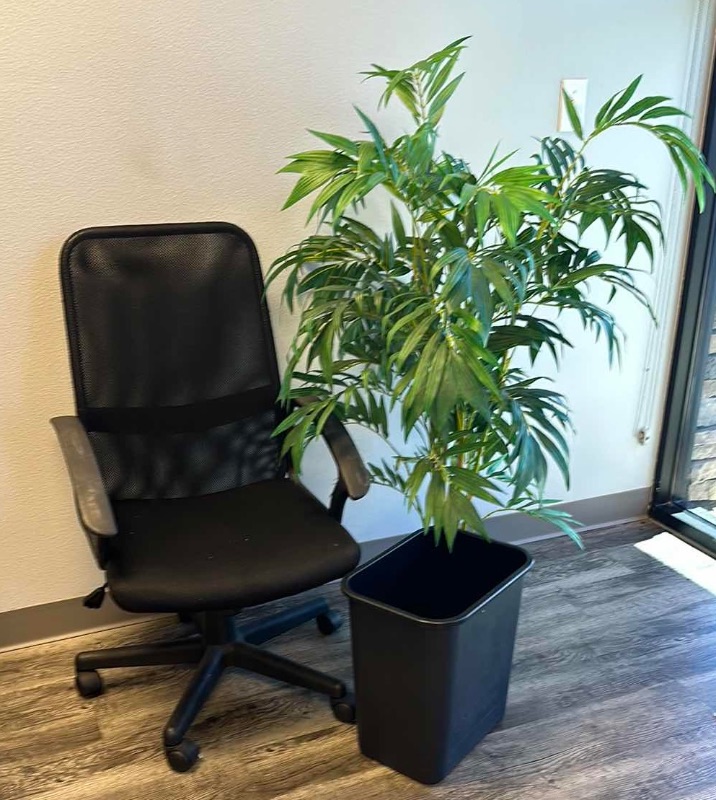 Photo 1 of BLACK SWIVEL OFFICE CHAIR, FAUX TREE, TRASH BASKET