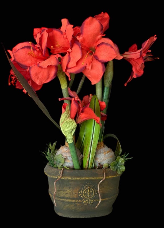 Photo 1 of RUST AMARYLLIS IN OVAL CERAMIC POT WITH FAUX FLORAL H26”