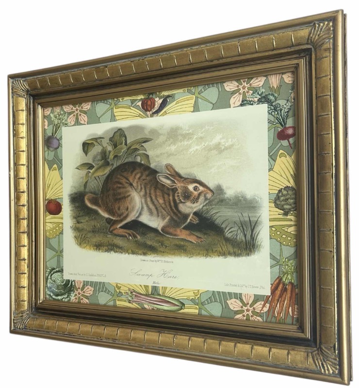 Photo 1 of GOLD FRAMED “SWAMP HARE” PRINTED LITHOGRAPH 25” x H21”