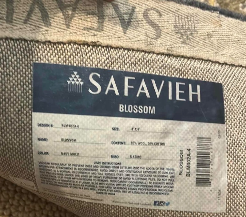 Photo 1 of SAFAVIEH BLOSSOM NAVY MULTI COLOR RUG 4’ x 6’
